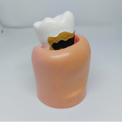 Stor Parodontitis Studiemodel 